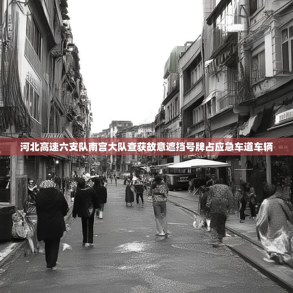 河北高速六支队南宫大队查获故意遮挡号牌占应急车道车辆