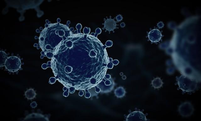 新冠疫情二次感染风险几何？毒株变异情况如何？