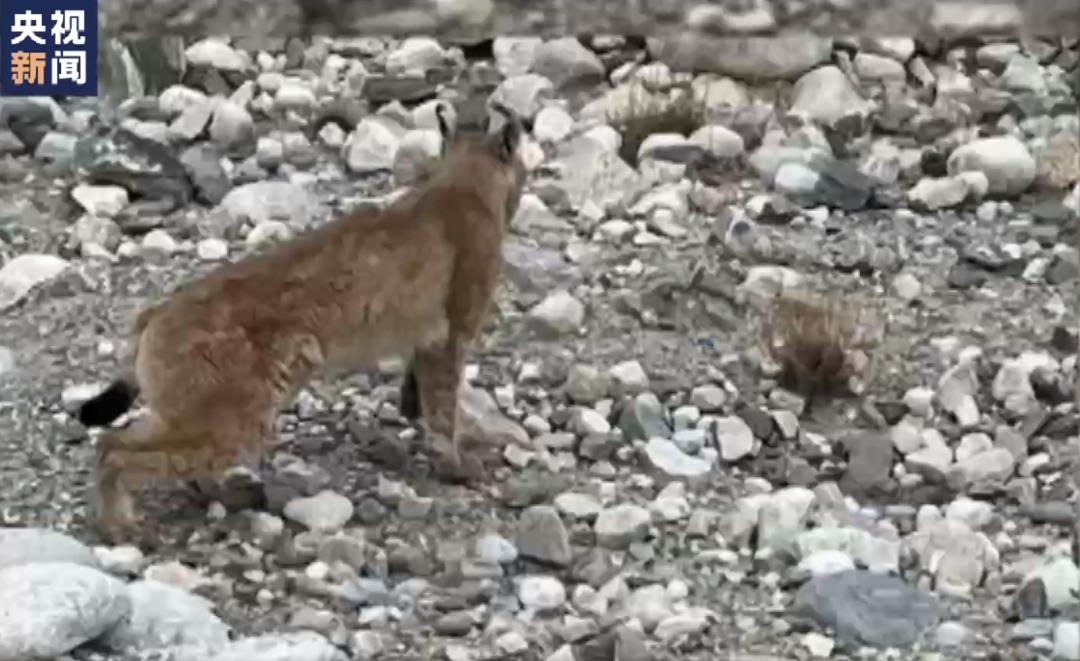 我市限行恢复,5月9日起实施新限行措施及天气情况