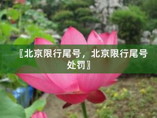 北京尾号限行时间及范围，早晚高峰和特定时段规定全知道