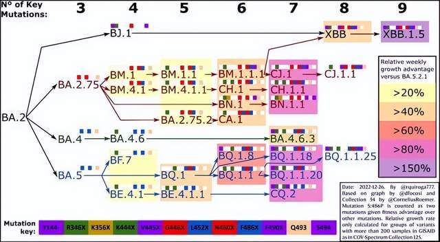 1月8日疫情政策放宽,新毒株入境风险及二次感染情况分析