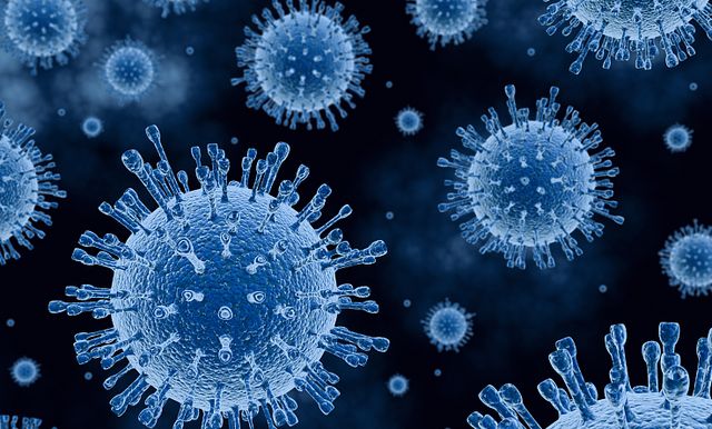 1月8日疫情政策放宽,新毒株入境风险及二次感染情况分析