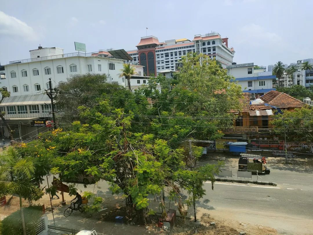 印度疫情二度爆发!单日新增41万创新高,华人生活受重创