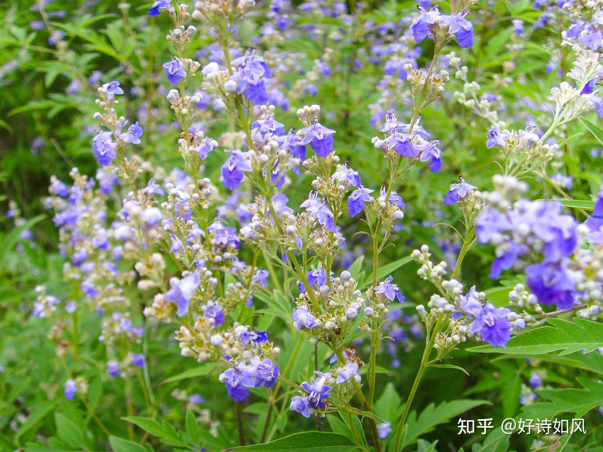 疫情三年影响无数人,如今大家都盼生活工作回归从前