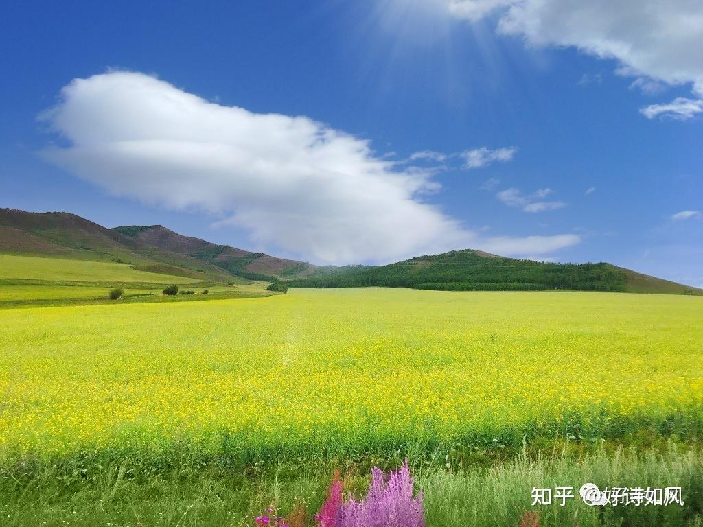 疫情三年影响无数人,如今大家都盼生活工作回归从前