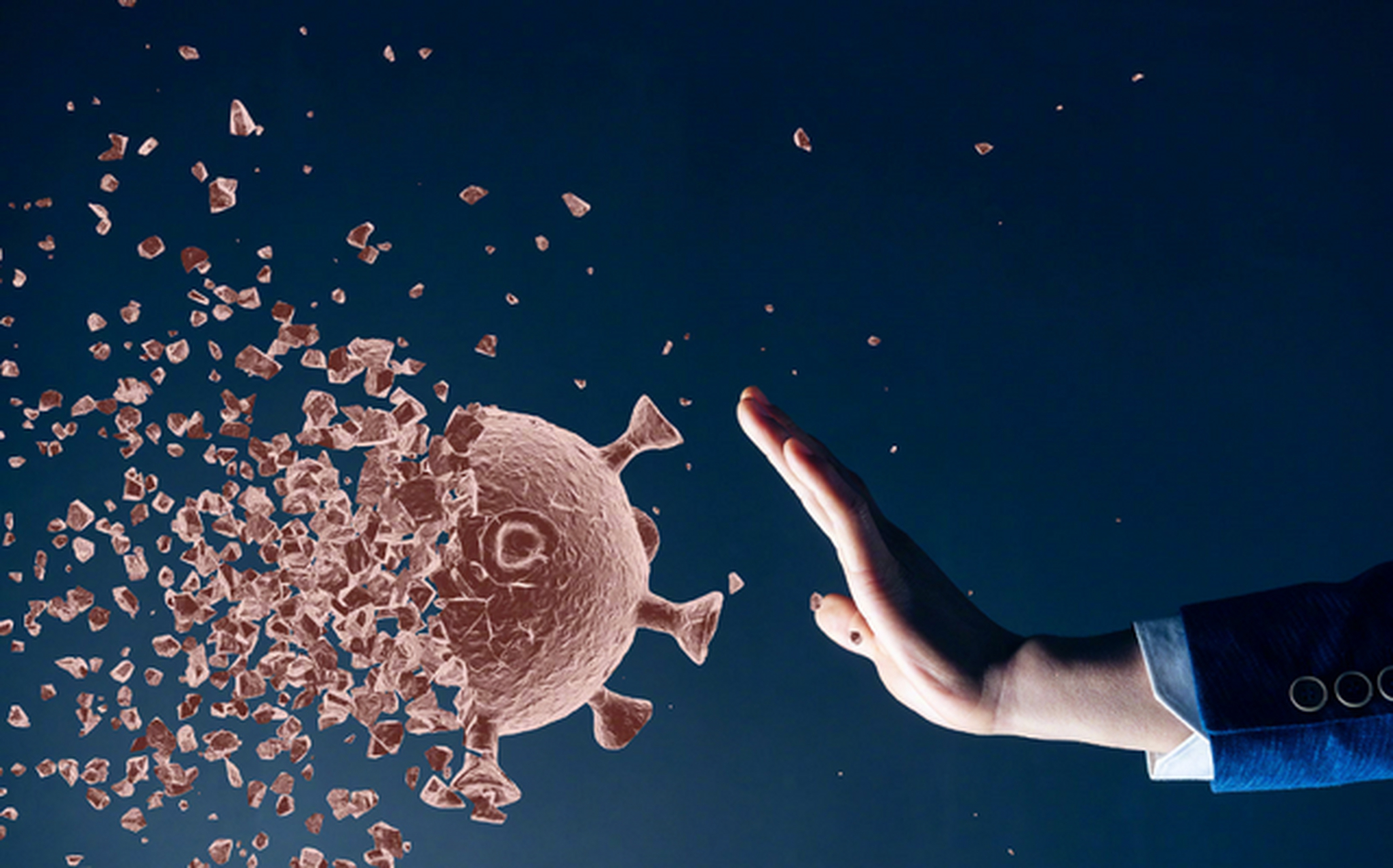 春节前印度现尼帕病毒疫情,如何安稳过年及病毒溯源探秘