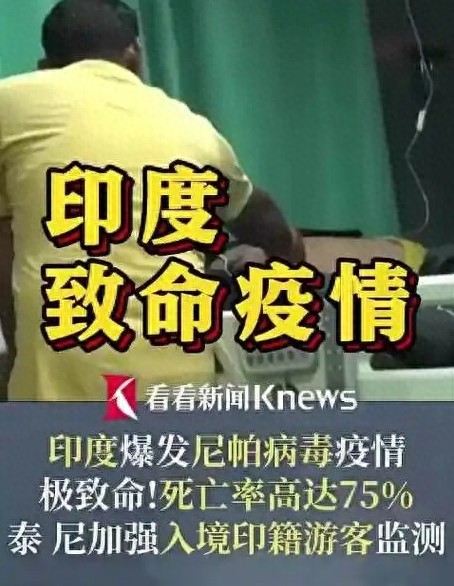 印度尼帕病毒局部疫情引关注，回顾该病毒疫情历史及危害