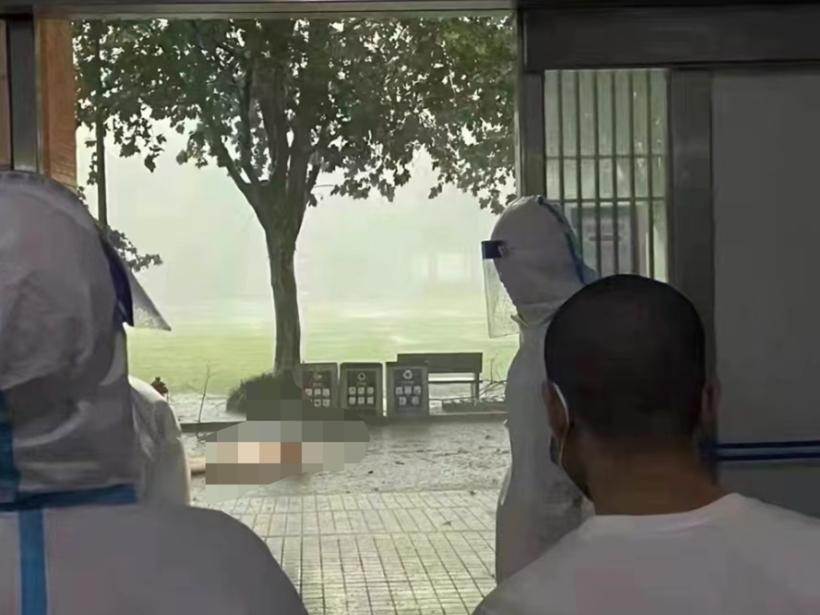 疫情下的闹剧:感恩舞成虚荣表彰,抗疫主角沦为配角