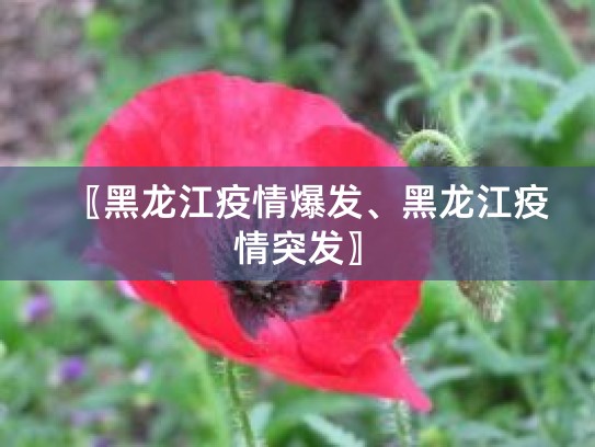 黑龙江绥化疫情爆发原因：婚宴+病毒特性+多重因素