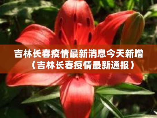 吉林市疫情最新消息：1天新增1268例，人员流向及学校聚集性疫情情况