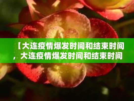 2020年大连疫情爆发及解除时间，还有三次本土疫情详情