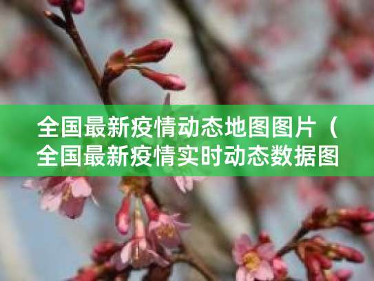 高德地图查看疫情地图的详细步骤及操作指南